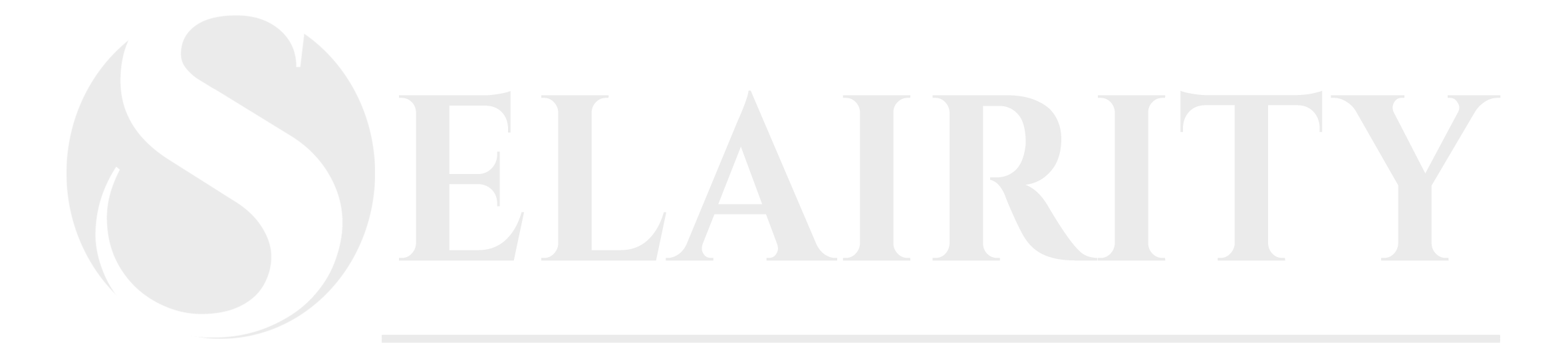 Selairity Banner